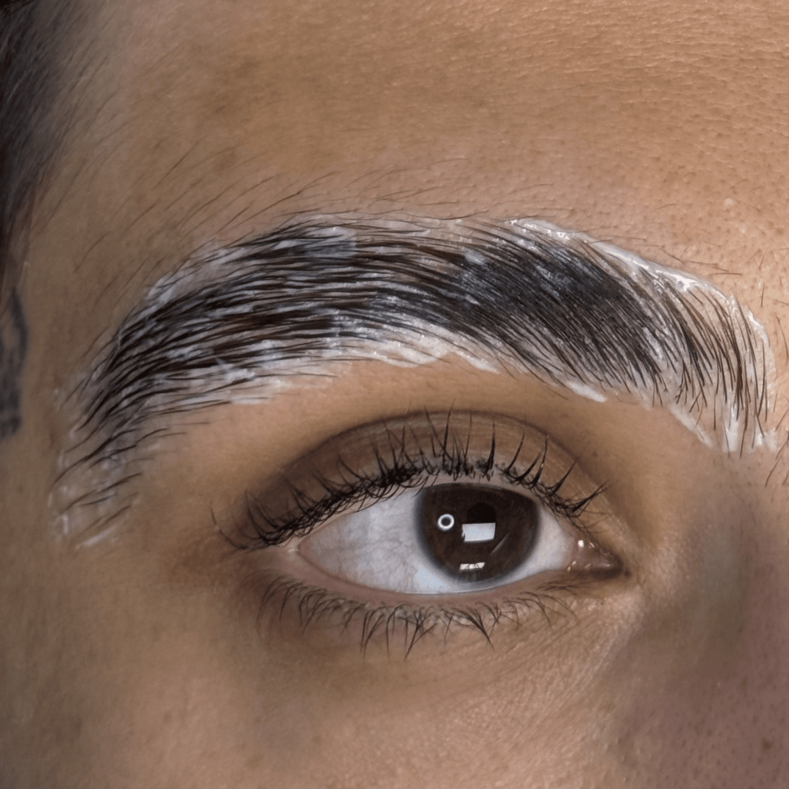 Eyebrow Lamination service