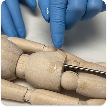 Groin Area service