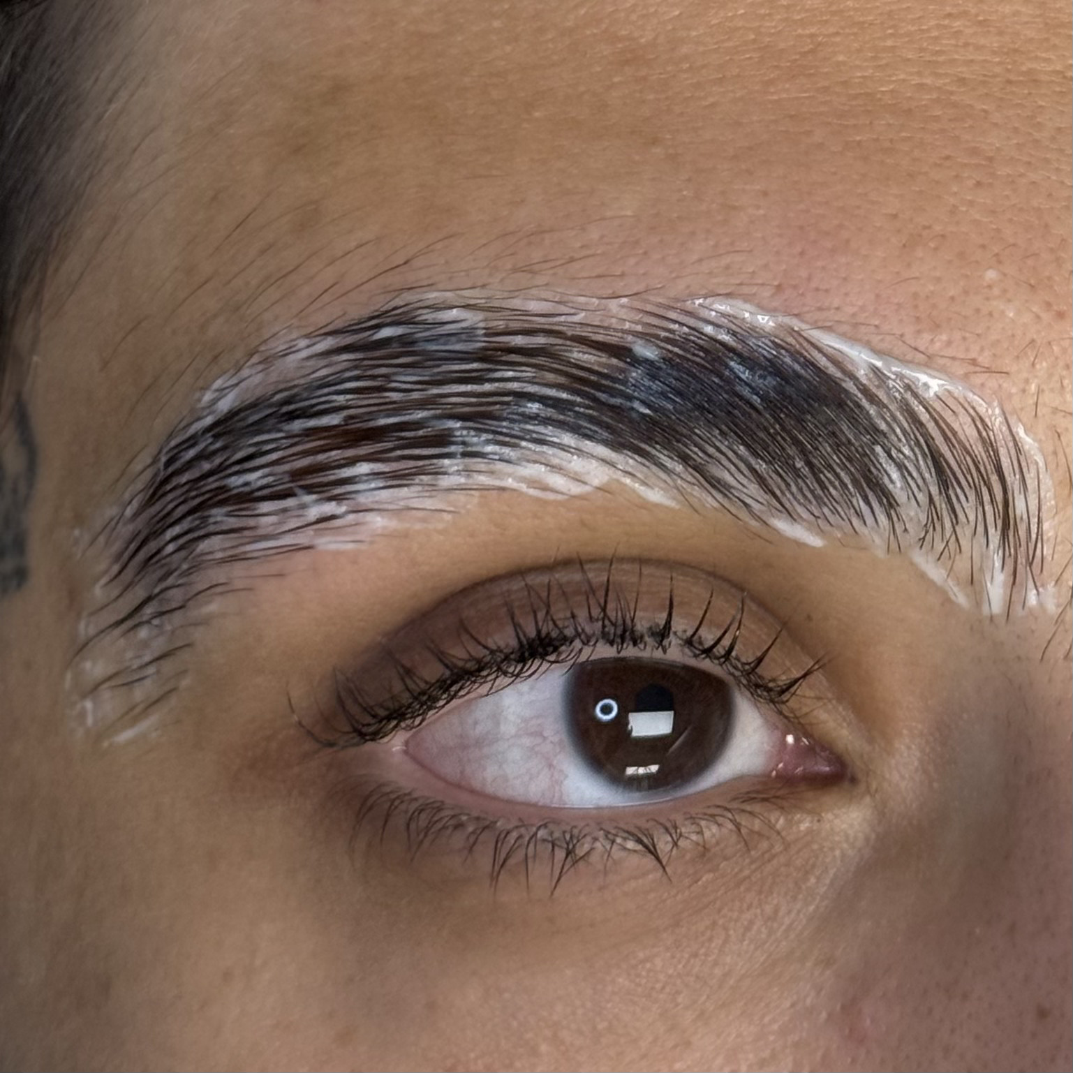 Eyebrow Lamination service